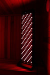 NW Immersion Sauna Elite Near Infrared & Red Light Therapy Panel - NW Immersion