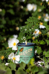 Oregon State Soy Candle - NW Immersion