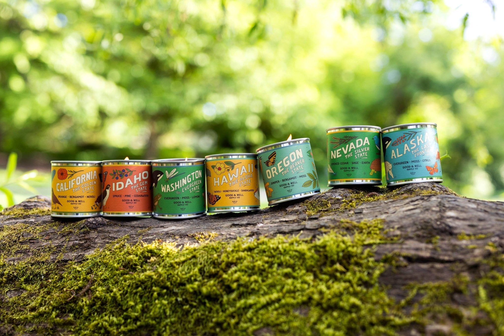 Oregon State Soy Candle - NW Immersion
