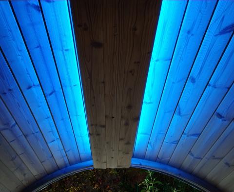 SaunaLife Emood Color Lighting for ERGO Sauna - NW Immersion