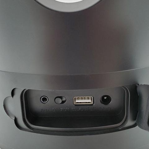SaunaLife SaunaZone Bluetooth Speaker - Sauna Bucket with Lights and Speaker - NW Immersion